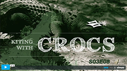 Potes avec les crocos